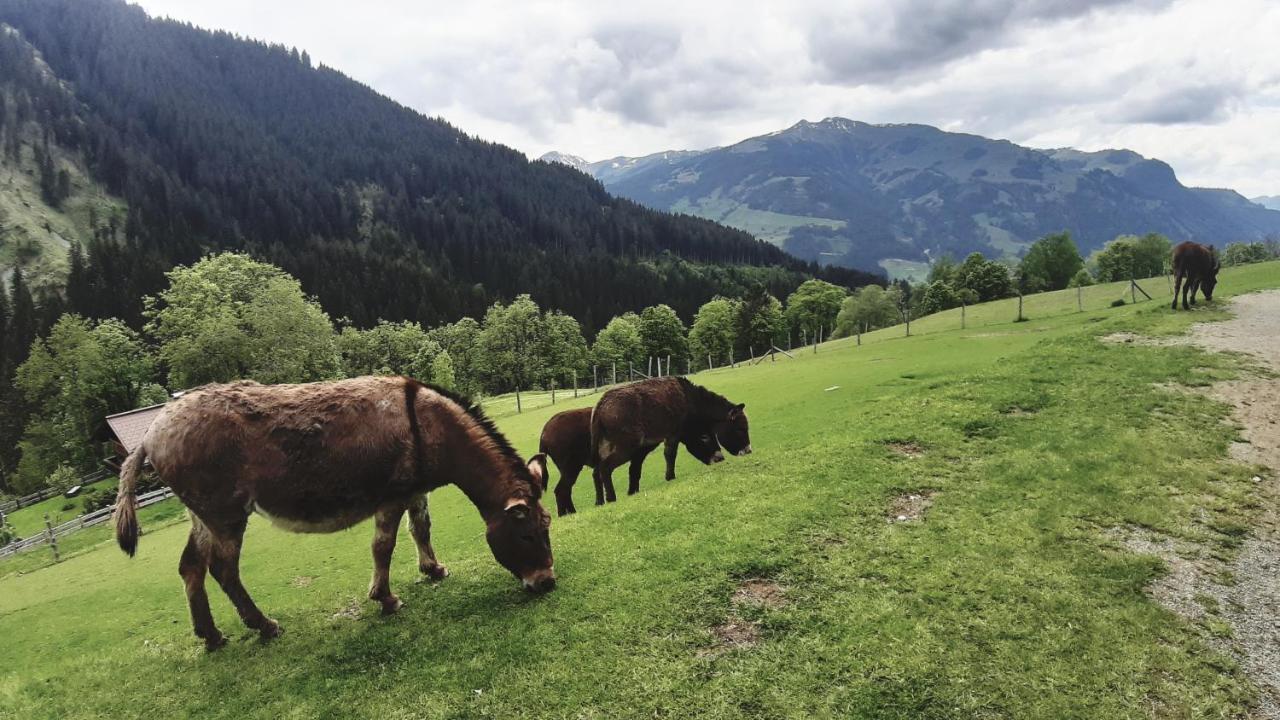 Bed and Breakfast Privatzimmervermietung Foidlbauer Oberndorf in Tirol Zewnętrze zdjęcie