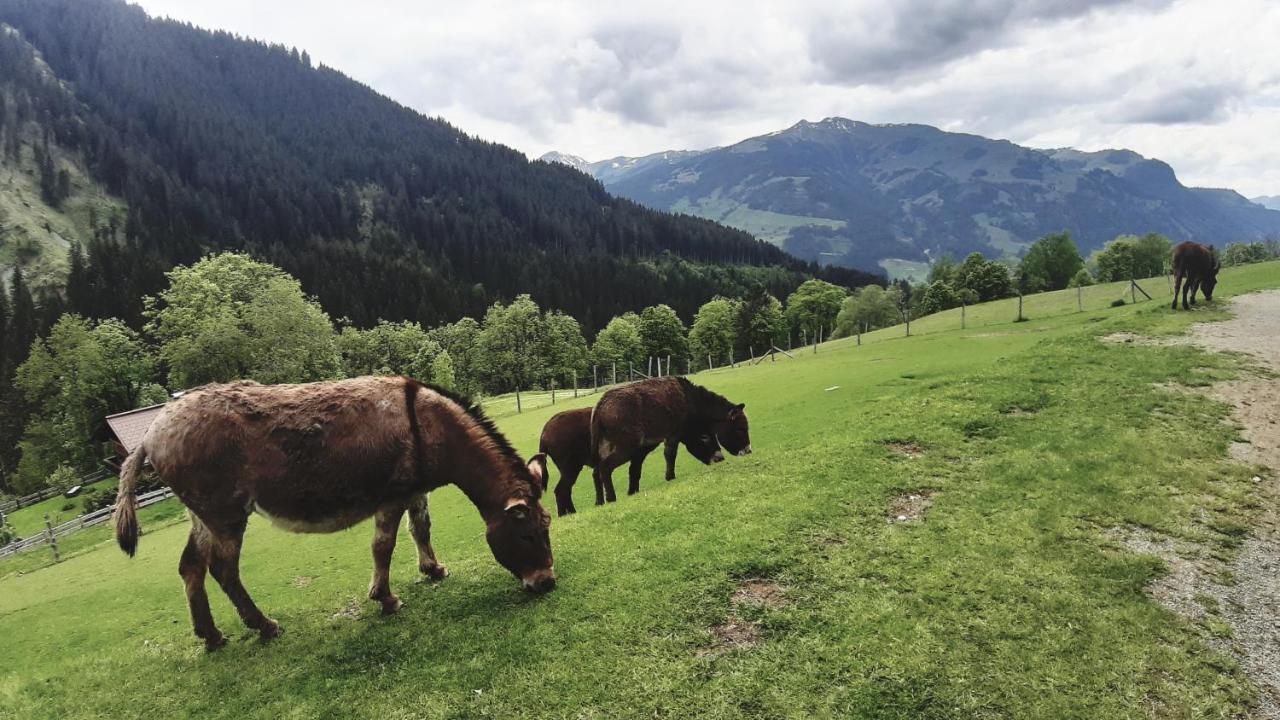 Privatzimmervermietung Foidlbauer Oberndorf in Tirol Zewnętrze zdjęcie