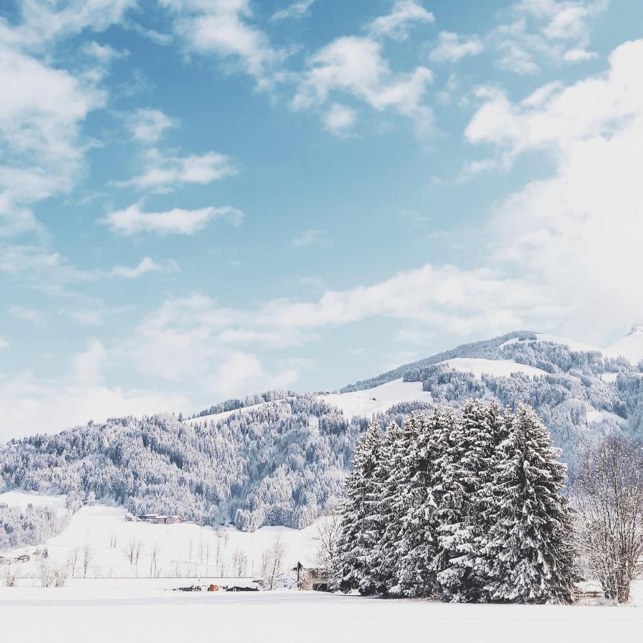 Bed and Breakfast Privatzimmervermietung Foidlbauer Oberndorf in Tirol Zewnętrze zdjęcie